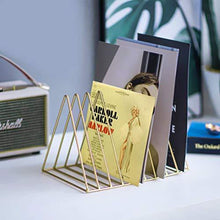 
                        
                          गैलरी व्यूवर में इमेज लोड करें, 9 Slot Vinyl Record Stand Holder, Desktop Album Storage Rack - JOY2ESpree
                        
                      