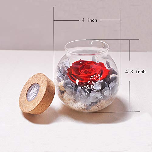 Forever Red Rose, Preserved Eternal Real Flower Present Gorgeous Led Mood Light