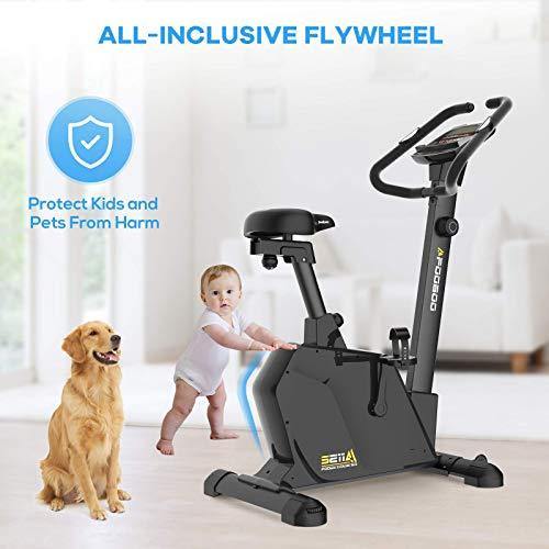 Exercise Bike Upright - JKANGFIT Magnetic Stationary Bikes Indoor Cycling Bike Quiet Belt Drive Exercise Bikes - JOY2ESpree