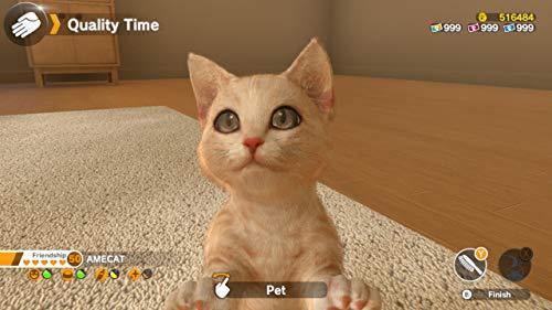 Little Friends: Dogs & Cats - Nintendo Switch - JOY2ESpree