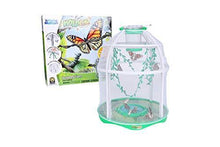 
                        
                          Load image into Gallery viewer, Uncle Milton Butterfly Farm Live Habitat - Observe Butterfly Lifecycle in Garden – Includes Voucher to Redeem for Caterpillars - JOY2ESpree
                        
                      