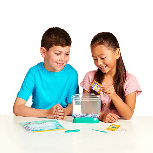 Little Live Aqua Dragons - Deep Sea Habitat - LED Light Up Tank Hatch and Grow Aquatic Pets - JOY2ESpree