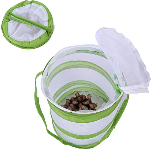 RuiyiF 2 Pack Insect and Butterfly Habitat Terrarium Pop-up Monarch Butterfly Cage Insect Growing Kits for Kids - JOY2ESpree