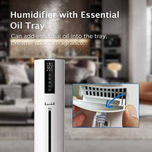 
                        
                          Cargar imagen en el visor de la galería, LACIDOLL 8L Humidifiers for Home&amp; Large Room Top Fill Cool Mist for Bedroom&amp;Whole House - JOY2ESpree
                        
                      