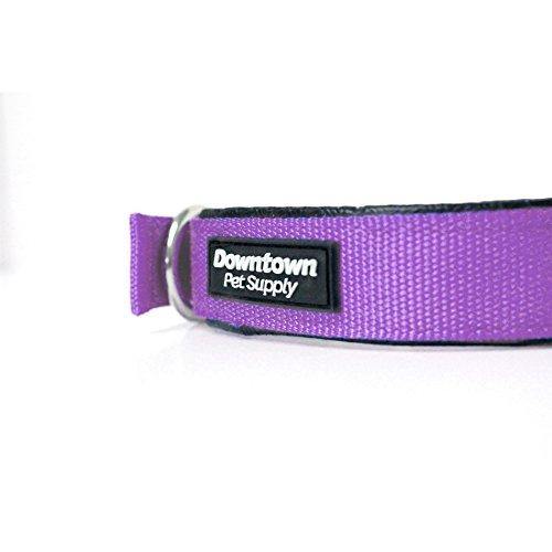 Downtown Pet Supply Deluxe Adjustable Thick Dog Collar, (Purple, XLarge)
