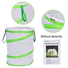 
                        
                          Cargar imagen en el visor de la galería, FUN LITTLE TOYS Butterfly Cage Set Butterfly Habitat Butterfly Garden Kit Butterfly Garden Butterfly Farm Without Butterfly - JOY2ESpree
                        
                      