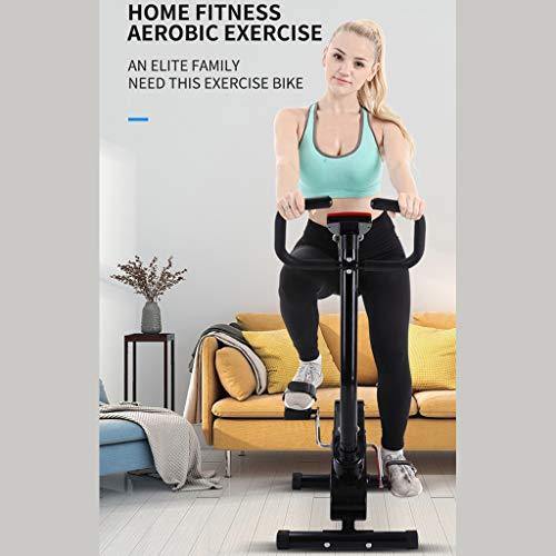 Indoor Exercise Bike Stationary Cycling Bike | Ultra-quiet Light & Small Saving Space - JOY2ESpree