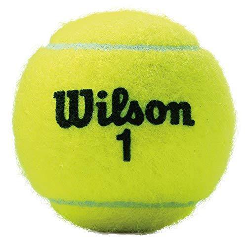 Wilson Championship Extra Duty Tennis Balls - JOY2ESpree