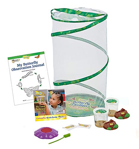 Insect Lore Butterfly Pavilion: Pavilion Habitat and Two Live Cups of Caterpillars with STEM Butterfly Journal - JOY2ESpree
