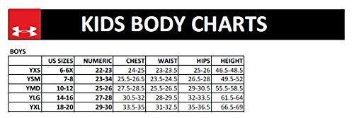 Under Armour Boys' Performance Boxer Briefs