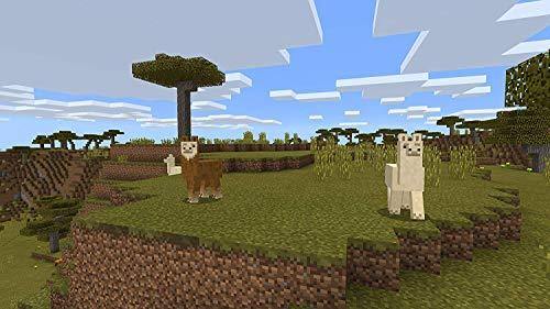 Minecraft with Super Mario Mash-up - Nintendo Switch - JOY2ESpree