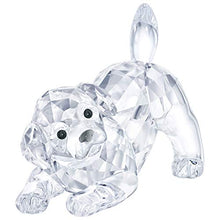 
                        
                          Load image into Gallery viewer, Swarovski Crystal Labrador Puppy Playing Figurine - JOY2ESpree
                        
                      