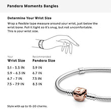 
                        
                          將圖片載入圖庫檢視器 Pandora Jewelry Moments Snake Chain Charm Pandora Rose Bracelet - JOY2ESpree
                        
                      