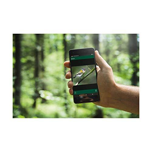 Swarovski dG Digital Long Range Monocular - JOY2ESpree