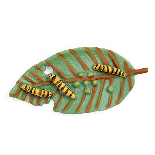UANDME 4pcs Butterfly Life Cycle Kit Lifestyle Stages of Monarch Butterfly Teaching Tools for Kids, Students - JOY2ESpree