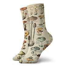 
                        
                          將圖片載入圖庫檢視器 Wilson-Martin Mushrooms Socks Casual Socks Sports Socks Fun Work Socks for Men/Women 11.8Inch - JOY2ESpree
                        
                      