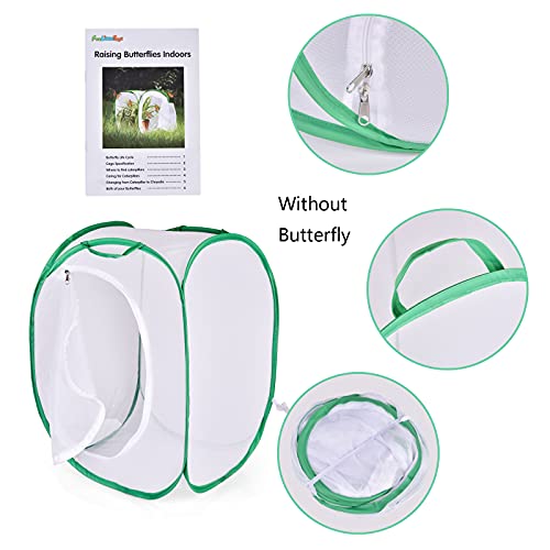 FUN LITTLE TOYS Square Butterfly Cage Set Butterfly Habitat Butterfly Garden Kit Insect Lore Butterfly Garden Without Butterfly - JOY2ESpree