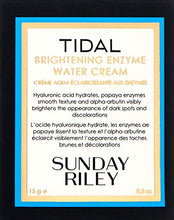 
                        
                          गैलरी व्यूवर में इमेज लोड करें, Sunday Riley Tidal Brightening Enzyme Water Cream
                        
                      
