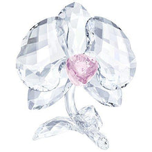 
                        
                          Load image into Gallery viewer, Swarovski Crystal"Orchid Flower" Figurine New 2018 - JOY2ESpree
                        
                      