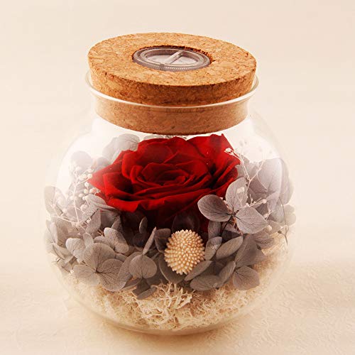 Forever Red Rose, Preserved Eternal Real Flower Present Gorgeous Led Mood Light