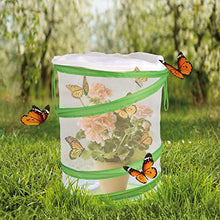 
                        
                          Cargar imagen en el visor de la galería, FUN LITTLE TOYS Butterfly Cage Set Butterfly Habitat Butterfly Garden Kit Butterfly Garden Butterfly Farm Without Butterfly - JOY2ESpree
                        
                      