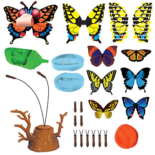 Scientific Explorer Butterfly Science Kit - JOY2ESpree