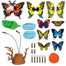 
                        
                          將圖片載入圖庫檢視器 Scientific Explorer Butterfly Science Kit - JOY2ESpree
                        
                      