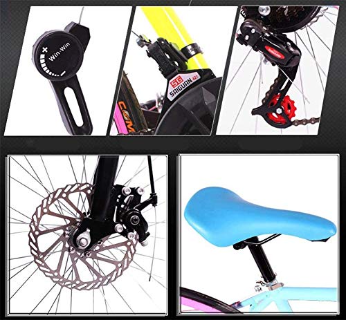XSLY 2020 New 26 Inch Road Mountain Bike Curved Handle Cycling 24 Speed Disc Brakes Front and Rear Bicycles