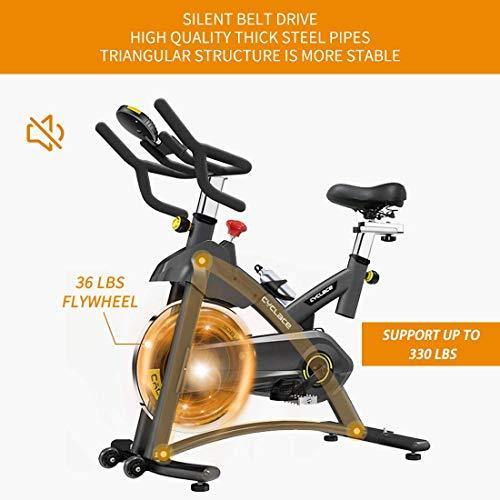 Cyclace Exercise Bike Stationary 330 Lbs Weight Capacity- Indoor Cycling Bike with Comfortable Seat Cushion, Tablet Holder and LCD Monitor - JOY2ESpree