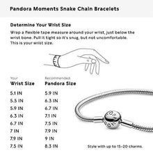 
                        
                          Muat gambar ke penampil Galeri, PANDORA Jewelry Smooth Moments Snake Chain Charm Sterling Silver Bracelet - JOY2ESpree
                        
                      