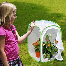 
                        
                          Muat gambar ke penampil Galeri, RESTCLOUD Insect and Butterfly Habitat Cage Terrarium Pop-up 23.6 Inches Tall - JOY2ESpree
                        
                      