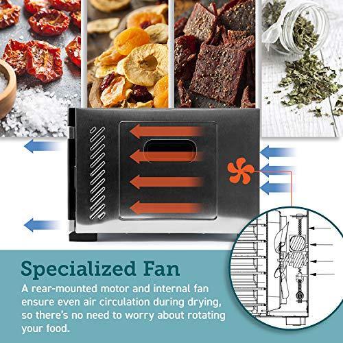 COSORI Premium Food Dehydrator Machine(50 Free Recipes), 6 Stainless Steel Trays with Digital Timer and Temperature Control - JOY2ESpree
