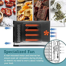 
                        
                          Muat gambar ke penampil Galeri, COSORI Premium Food Dehydrator Machine(50 Free Recipes), 6 Stainless Steel Trays with Digital Timer and Temperature Control - JOY2ESpree
                        
                      