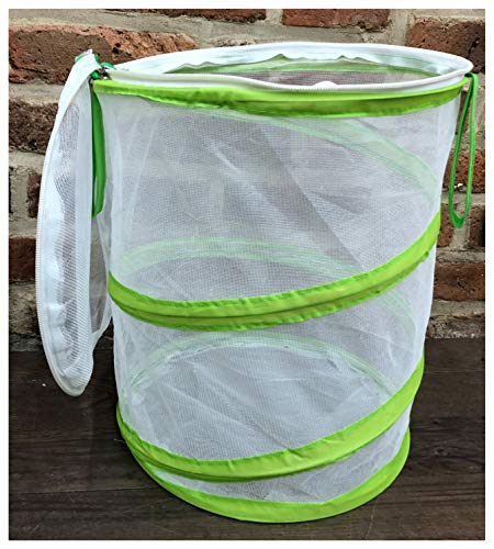 Chyl & Party Pop-up Collapsible Insect and Butterfly Habitat Cage Toy - JOY2ESpree