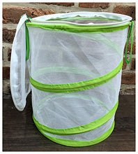 
                        
                          將圖片載入圖庫檢視器 Chyl &amp; Party Pop-up Collapsible Insect and Butterfly Habitat Cage Toy - JOY2ESpree
                        
                      