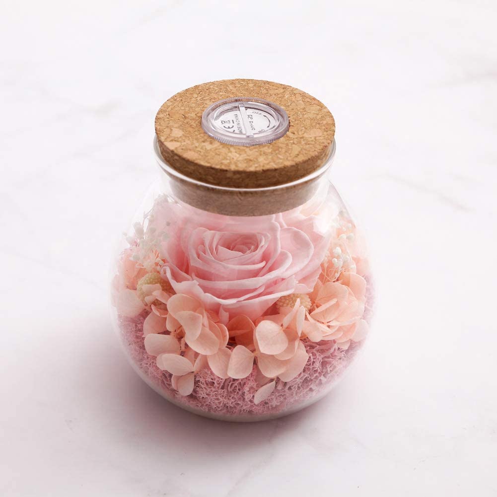 Forever Red Rose, Preserved Eternal Real Flower Present Gorgeous Led Mood Light