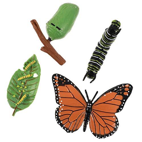 DOITOOL 4pcs Insect Figurines Life Cycle of Butterfly Plastic Caterpillars - JOY2ESpree