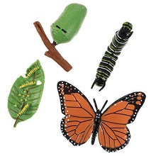 
                        
                          Cargar imagen en el visor de la galería, DOITOOL 4pcs Insect Figurines Life Cycle of Butterfly Plastic Caterpillars - JOY2ESpree
                        
                      