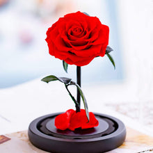 
                        
                          Cargar imagen en el visor de la galería, Eternal Rose- Preserved Flower Rose Handmade Fresh Flower Rose
                        
                      
