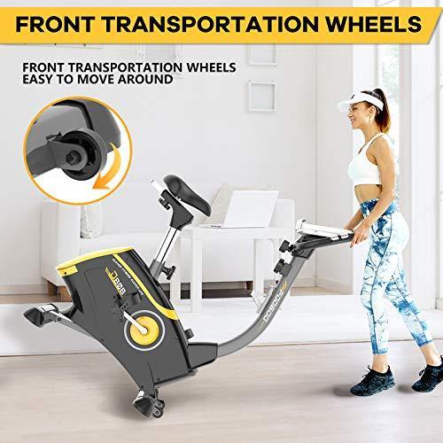 JKANGFIT Exercise Bike Stationary Bikes with 8-Level Magnetic Resistance and LCD Monitor, Indoor Cycling Bike 300 LB Capacity Upright Workout Bike - JOY2ESpree