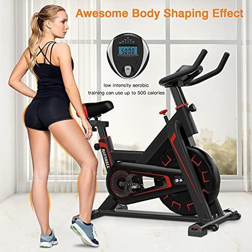 Exercise Bike Stationary Indoor Cycling Bike-HAUSBELL Sturdy Super Quiet Spin Bike . - JOY2ESpree