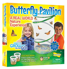 
                        
                          Cargar imagen en el visor de la galería, Insect Lore Butterfly Pavilion - JOY2ESpree
                        
                      