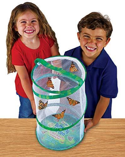 Insect Lore Giant Butterfly Garden with Voucher - JOY2ESpree