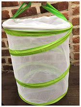 
                        
                          將圖片載入圖庫檢視器 Chyl &amp; Party Pop-up Collapsible Insect and Butterfly Habitat Cage Toy - JOY2ESpree
                        
                      