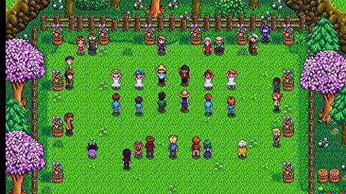 Stardew Valley (Nintendo Switch) - JOY2ESpree