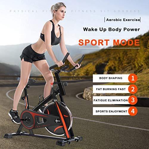 Stationary Bikes Indoor Cycling Exercise Bike, Steel Frame Fitness Spin Bikes - JOY2ESpree