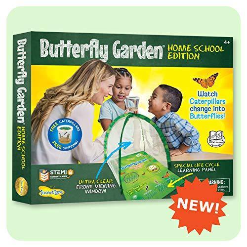 Insect Lore Butterfly Garden Home School Edition - JOY2ESpree