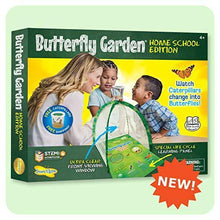 
                        
                          गैलरी व्यूवर में इमेज लोड करें, Insect Lore Butterfly Garden Home School Edition - JOY2ESpree
                        
                      