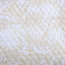 
                        
                          將圖片載入圖庫檢視器 Tommy Bahama Home | Lago Leaves Collection| Two Euro Shams
                        
                      