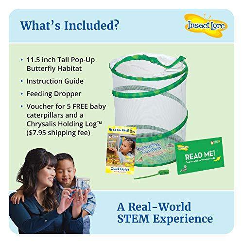 Insect Lore - BH Butterfly Growing Kit - With Voucher to Redeem Caterpillars Later - JOY2ESpree
